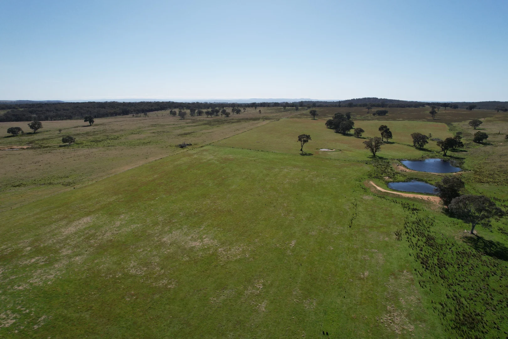 Additional image 10 of 424 Trebane Road, Crowther NSW 2803