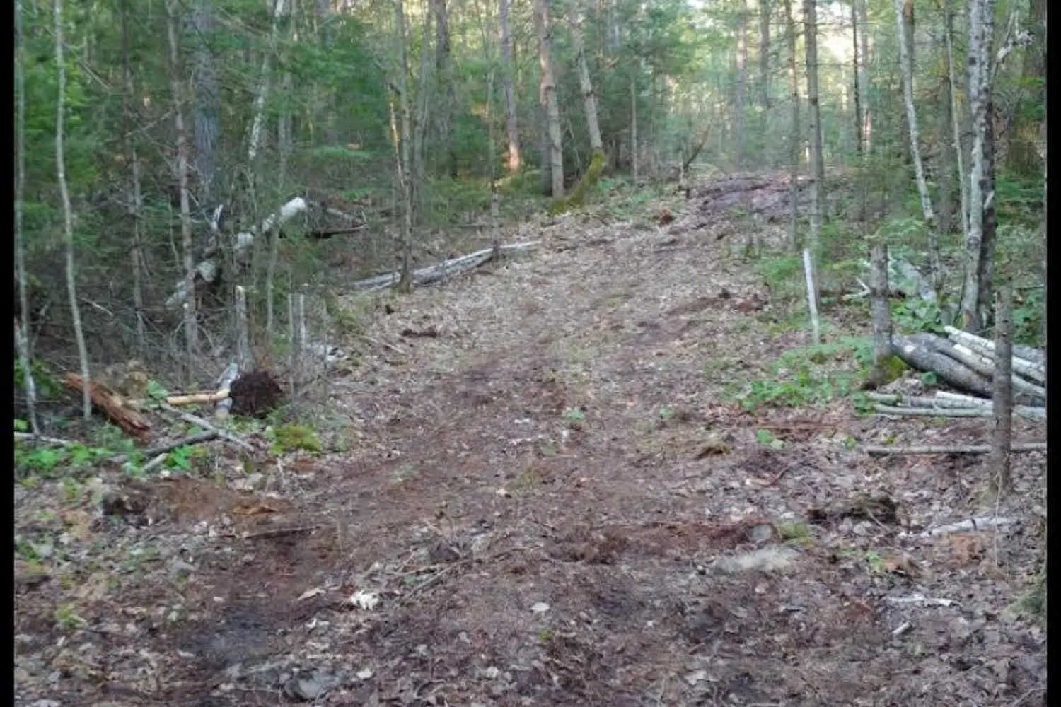 Additional image 10 of 1678 Locksley Road