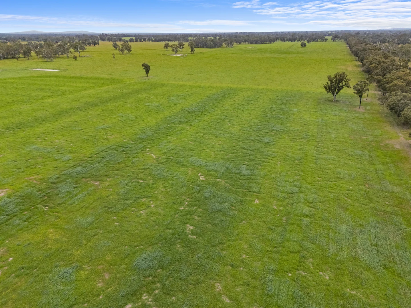Additional image 5 of Lot 2 & Lot 1, PS 72 Basin Road, Tarnook VIC 3670