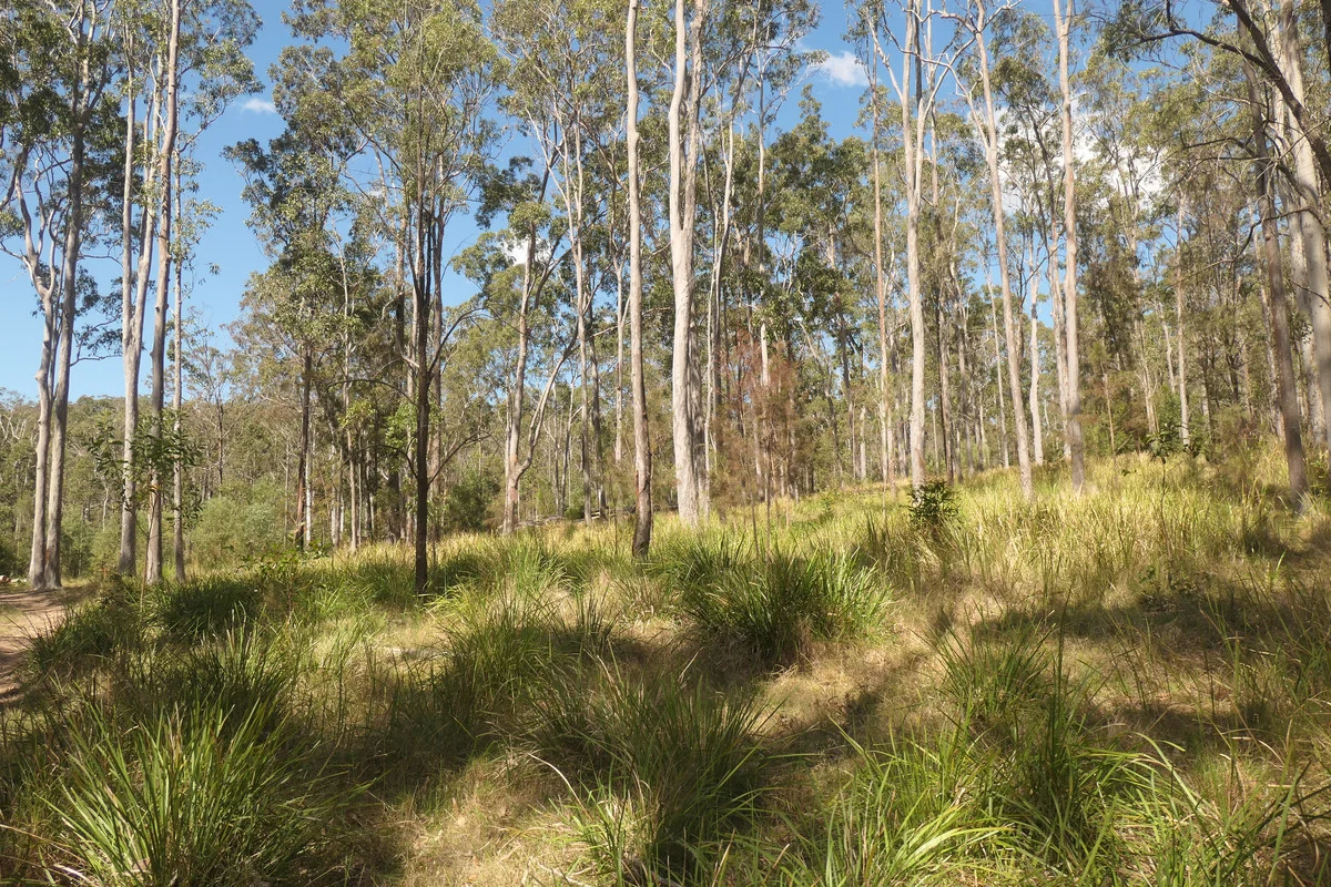 Additional image 28 of Lot 5 Long Gully Road, Drake NSW 2469