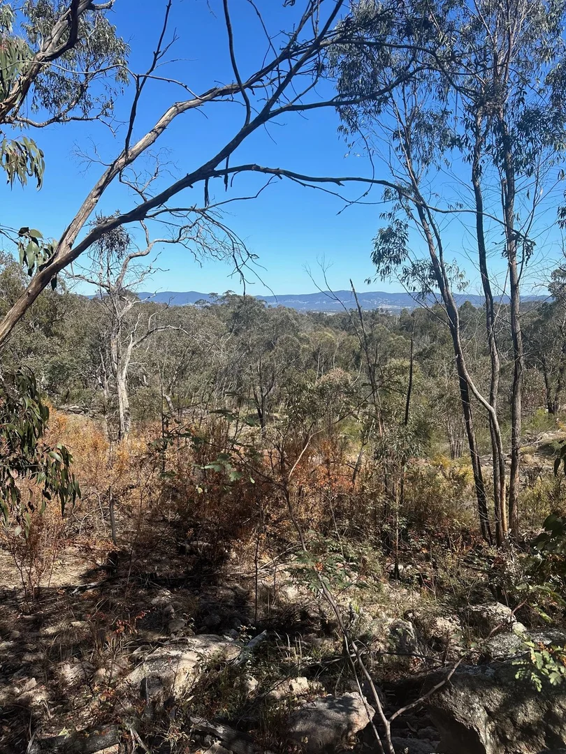 Additional image 32 of Lot 1 Brusharbers Road, Tenterfield NSW 2372