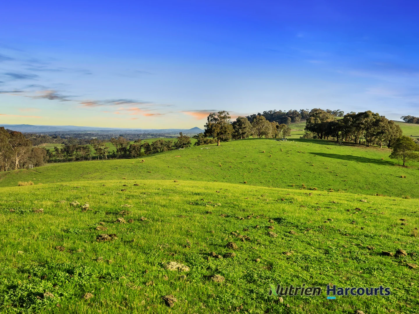 Additional image 21 of 250 Daisyburn Road, Hilldene VIC 3660