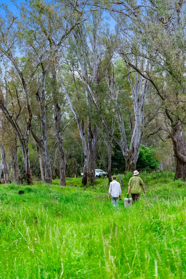 Additional image 17 of 431 Morningside Road, Wahring VIC 3608