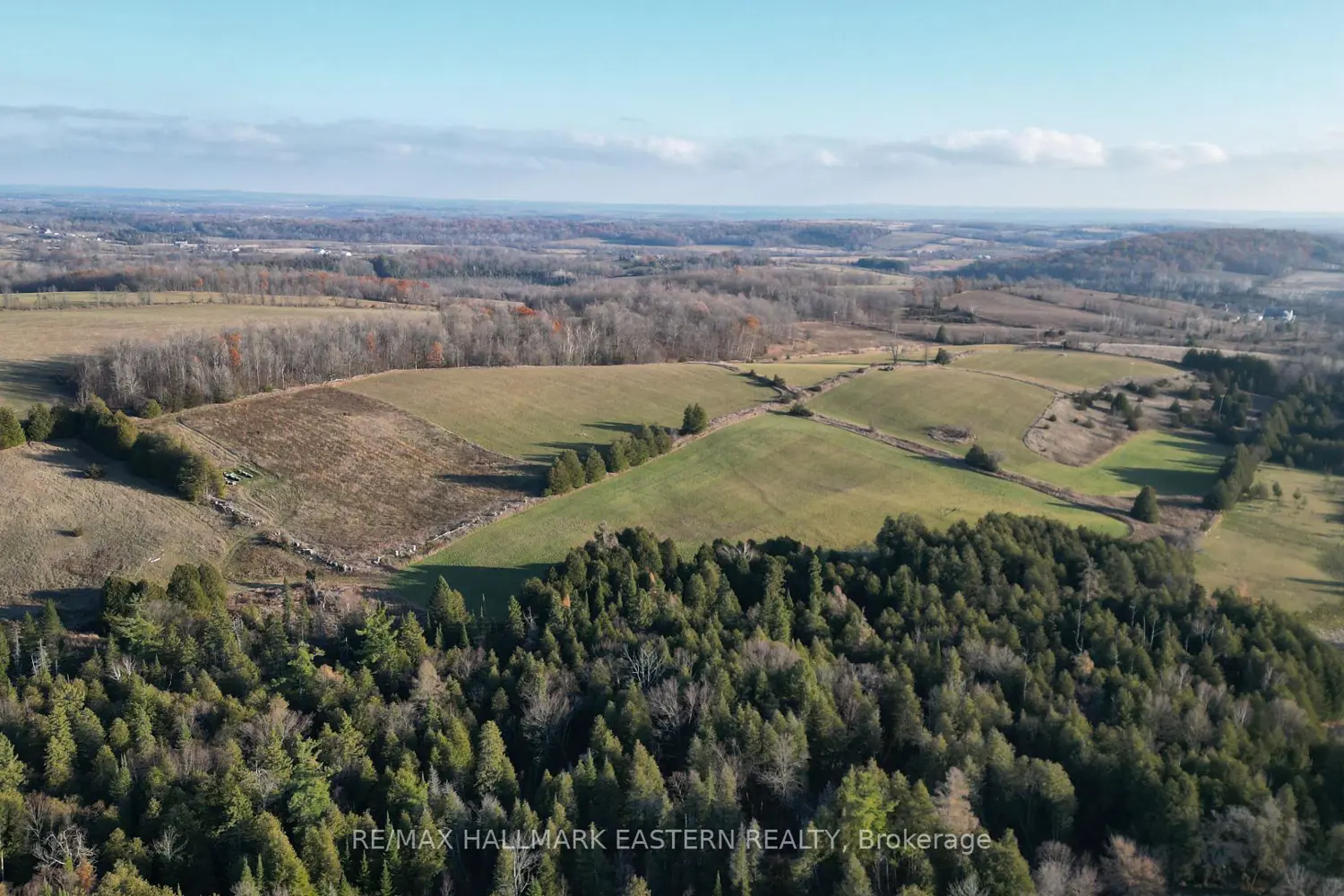 Additional image 14 of 461 Concession 11