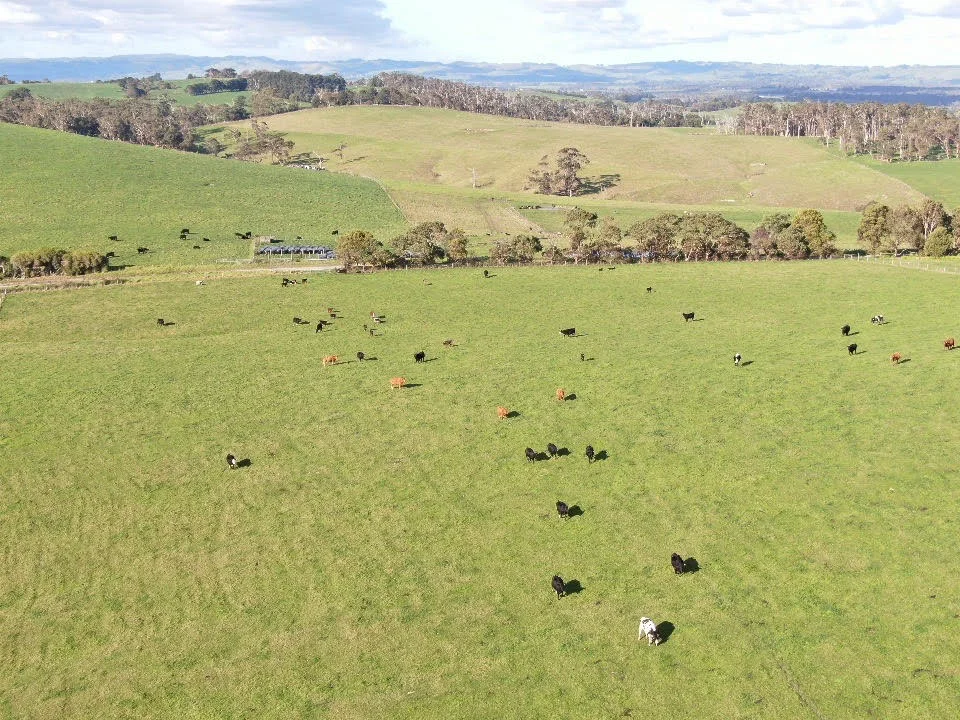 Additional image 7 of 180 Old Koonwarra-Meeniyan Road, Koonwarra VIC 3954