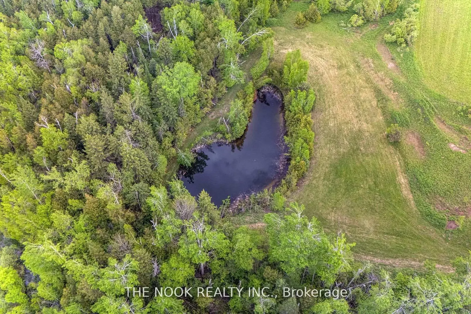 Additional image 16 of 593 Pigeon Creek Road