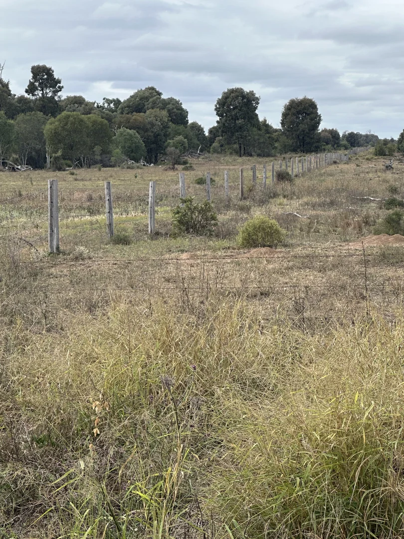 Additional image 11 of 7850 Chinchilla Wondai Rd, Durong QLD 4610