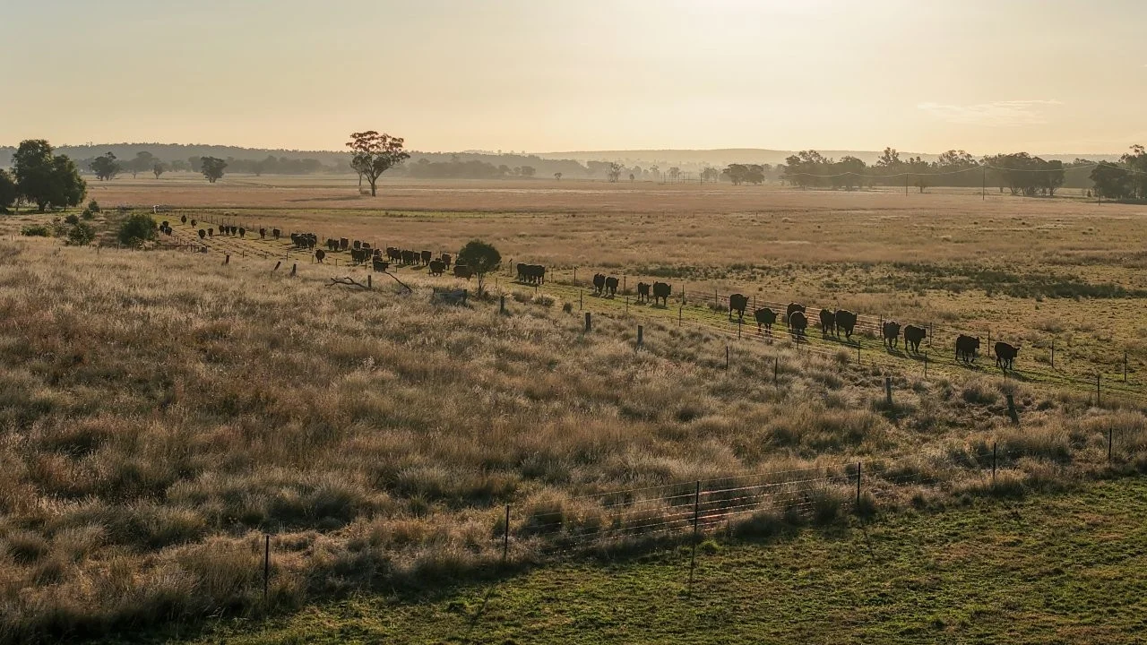 Additional image 5 of 3761 Neilrex Road, Neilrex NSW 2831