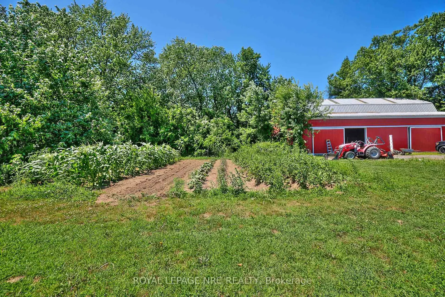 Additional image 3 of 1171 Mcnab Road