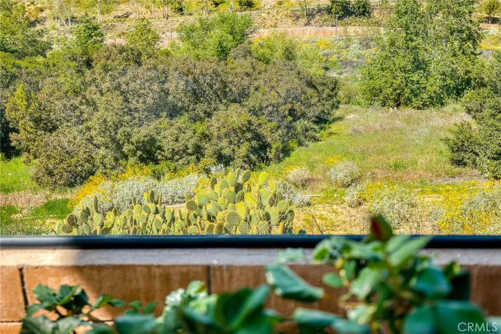 Additional image 47 of 24655 Acadia Dr, Corona, CA 92883