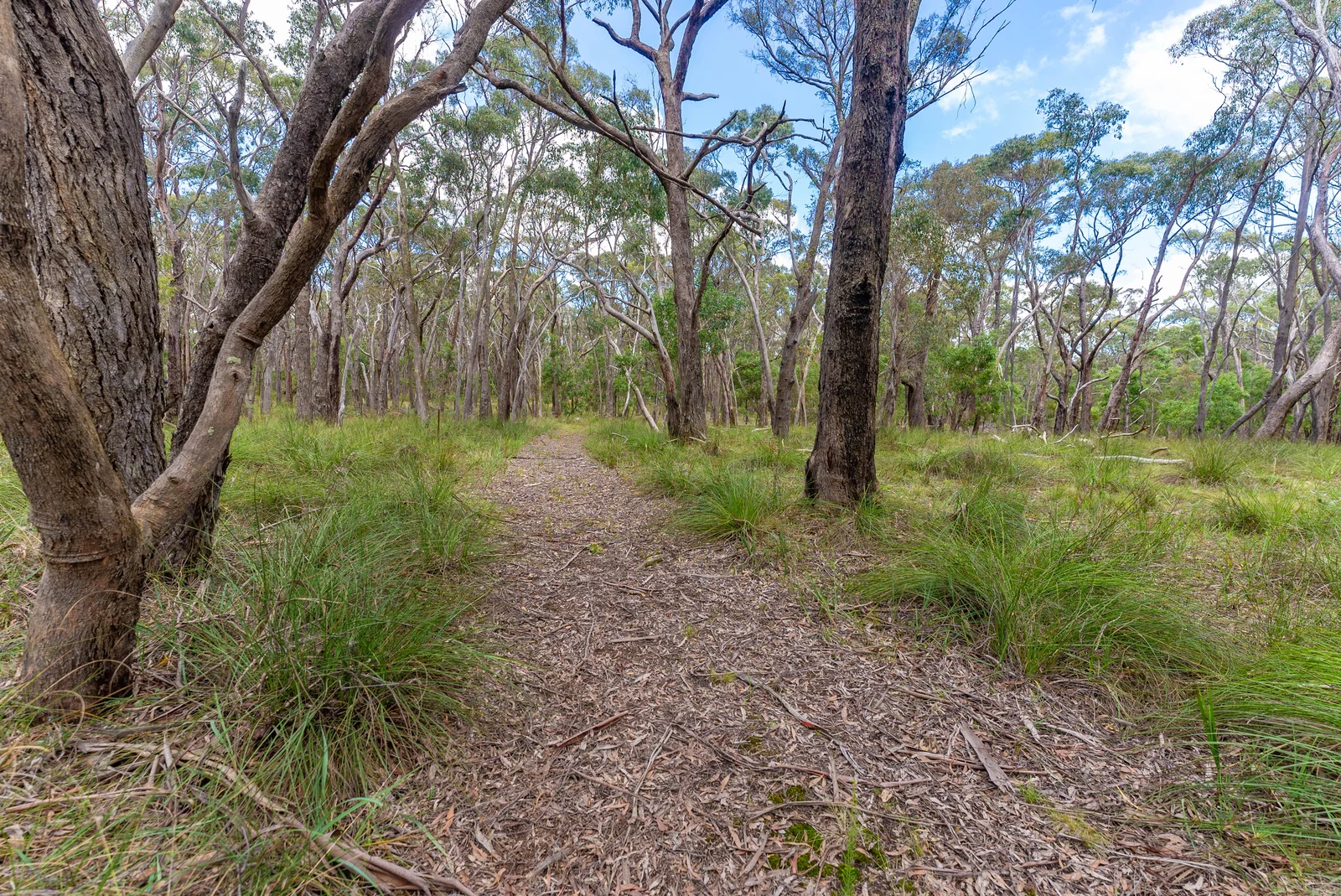 Additional image 7 of Lot 5 Hardies Road, Garibaldi VIC 3352
