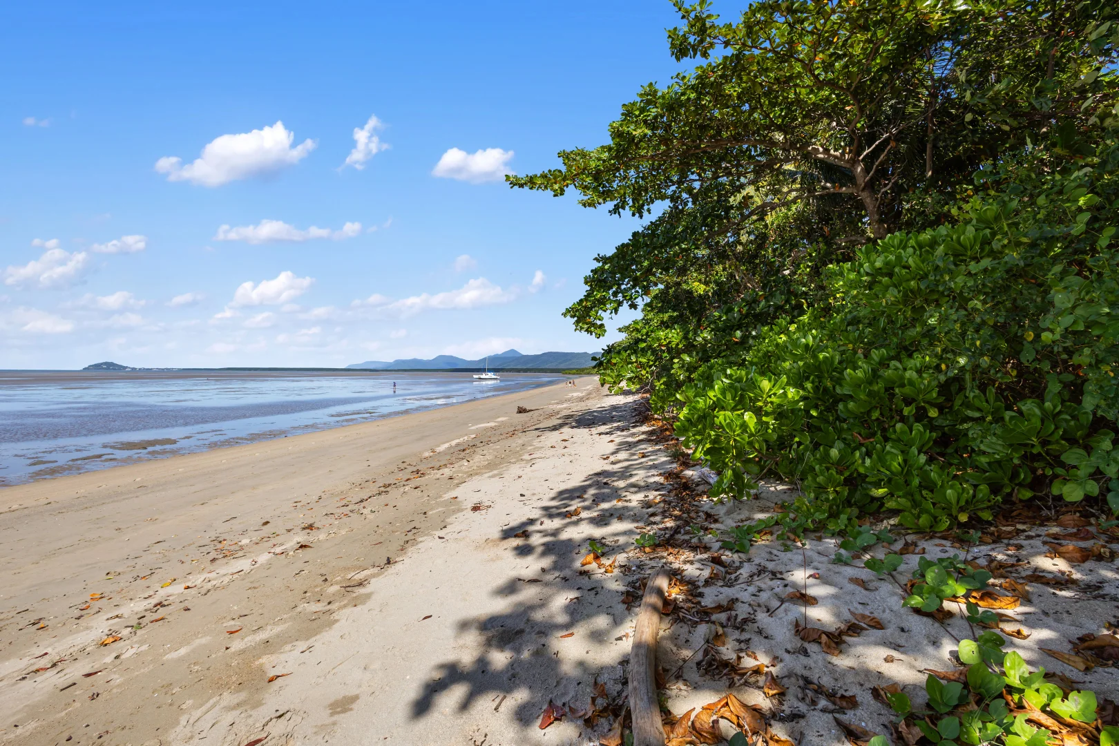Additional image 6 of 37 Bougainvillea Street, Cooya Beach QLD 4873
