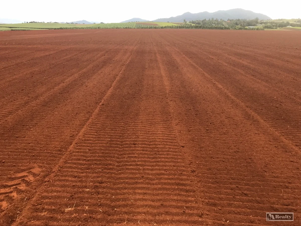 Additional image 12 of L15 Broccardo Road, Garradunga QLD 4860