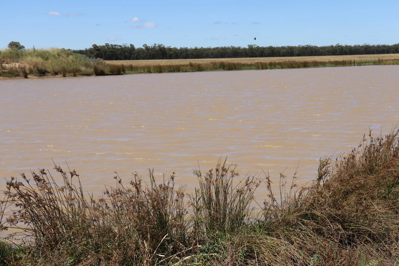 Additional image 19 of 72 Boorr Hill Road, Parkes NSW 2870