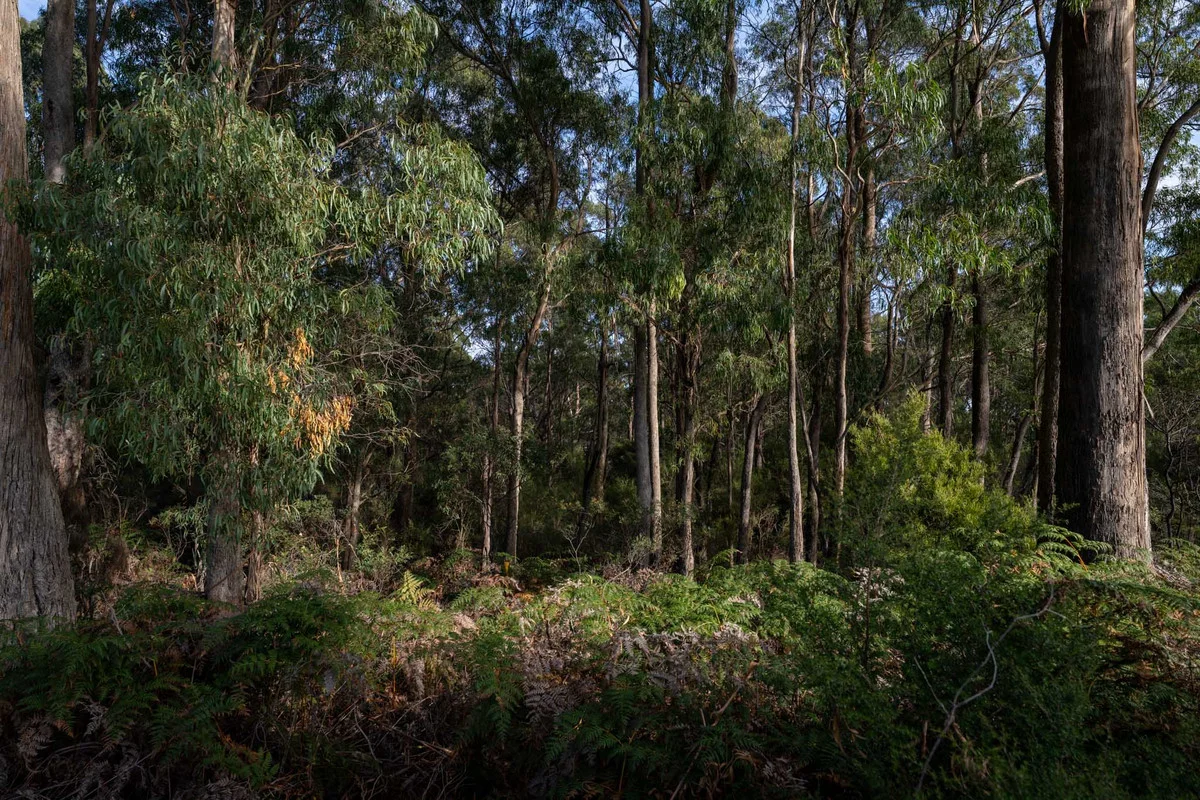 Additional image 3 of Back Cam Road, Somerset TAS 7322