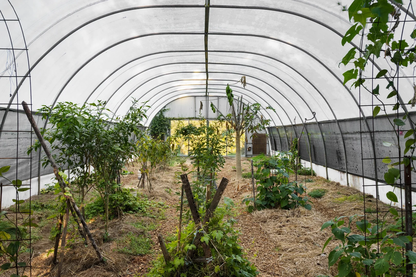 Additional image 24 of 361 Huonbrook Road, Huonbrook NSW 2482