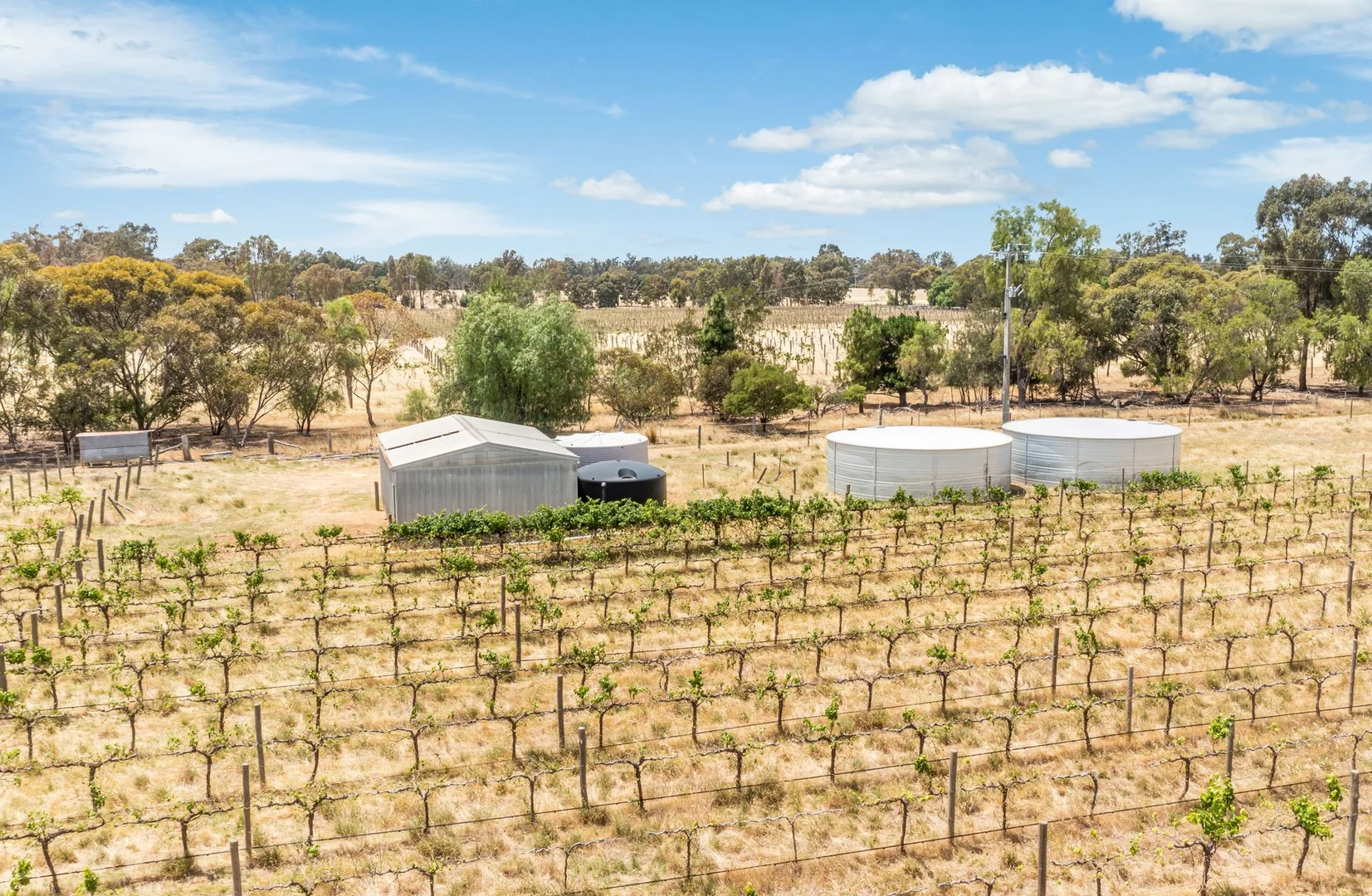 Additional image 3 of Lot 7 Bridgewater-Serpentine Road, Bridgewater On Loddon VIC 3516