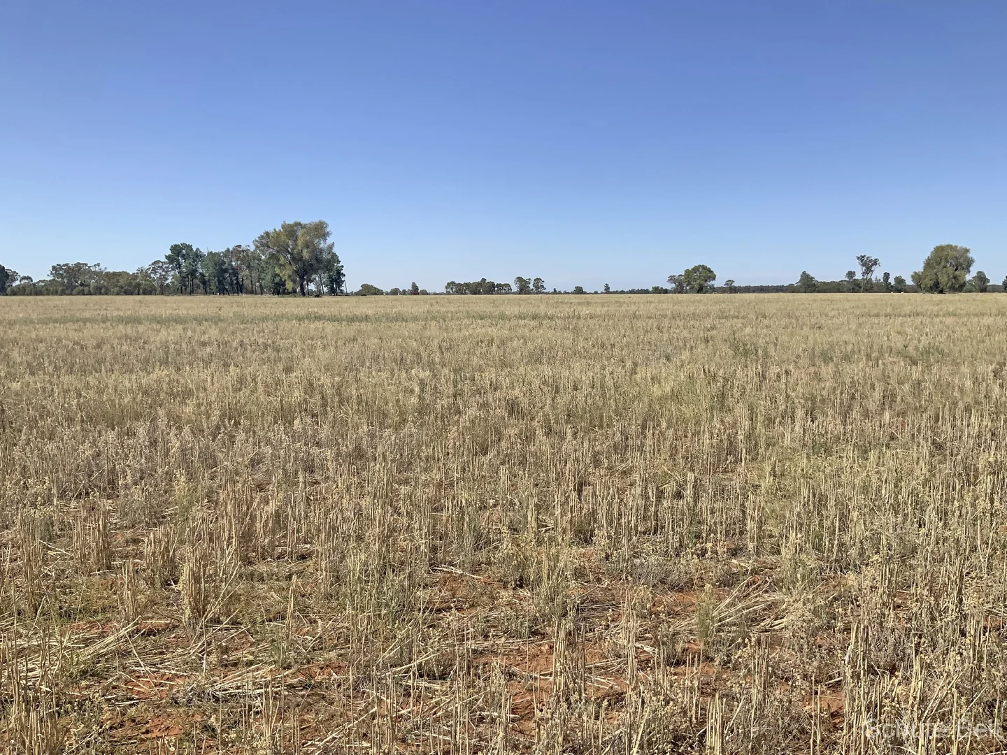 Additional image 9 of 703 Yethera Road, Tullamore NSW 2874