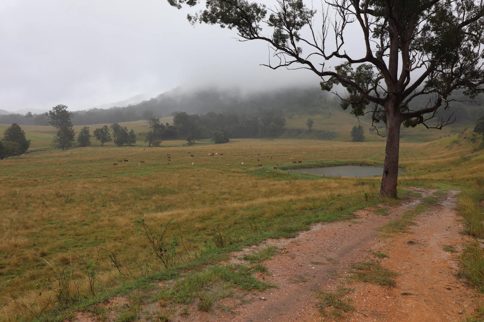 Additional image 24 of 95 Smiths Creek Road, Lower Creek NSW 2440