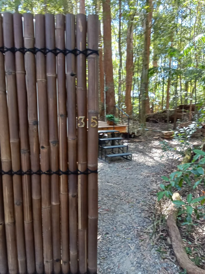 Additional image 6 of Springbrook QLD 4213