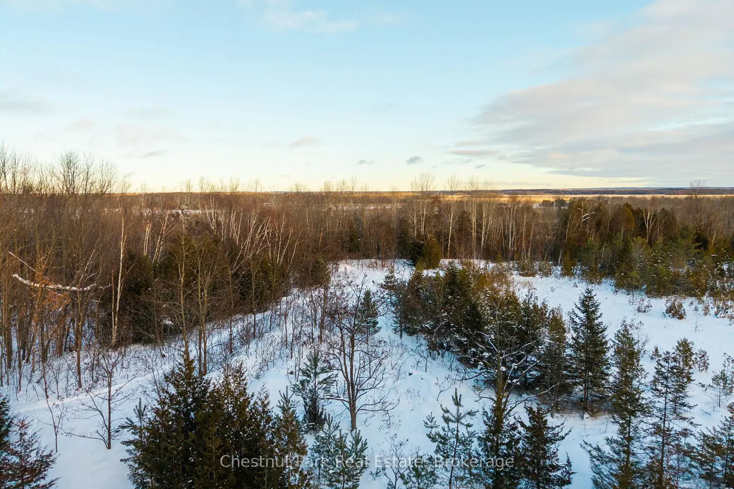 Additional image 17 of 2970 Fesserton Side Road