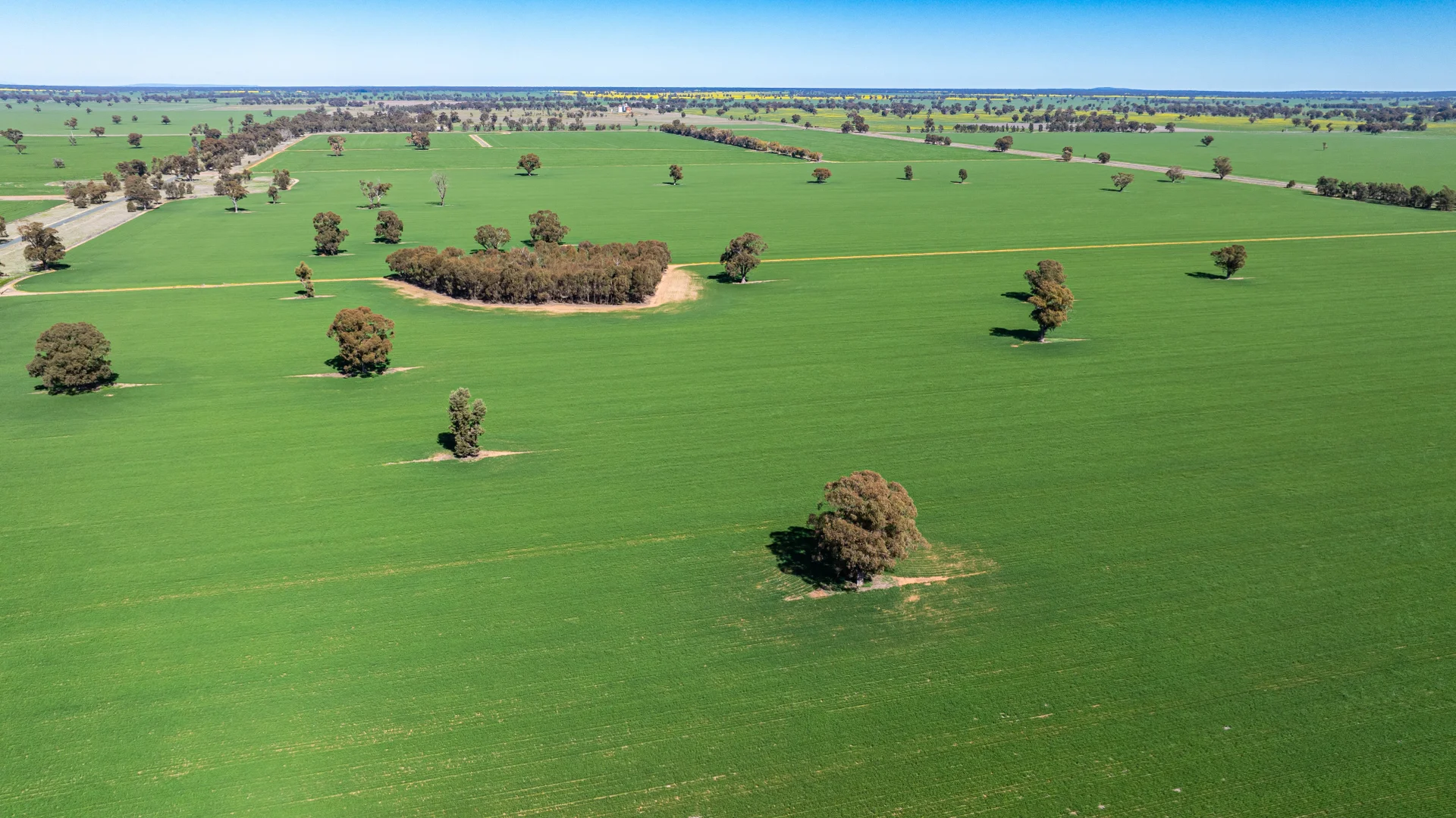 Additional image 33 of 119 Oak Lodge Rd, Sanger NSW 2646