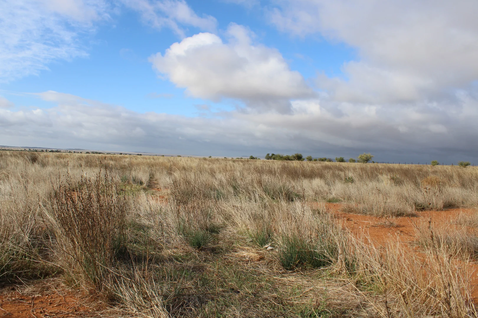 Additional image 40 of 1860 Cleary Road, Terowie SA 5421