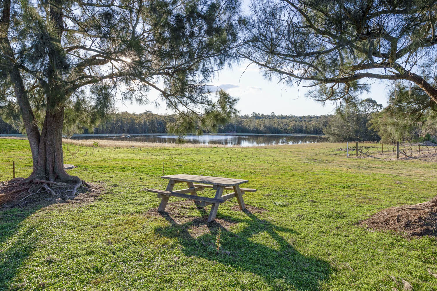 Additional image 22 of 463 Deasys Road, Pokolbin NSW 2320