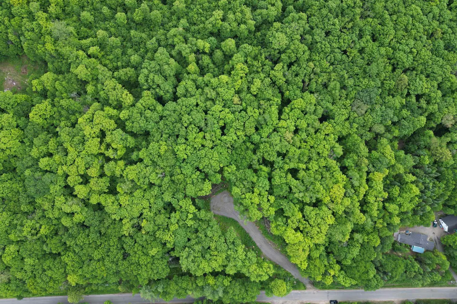 Additional image 4 of Lot 29 Bay Lake Road