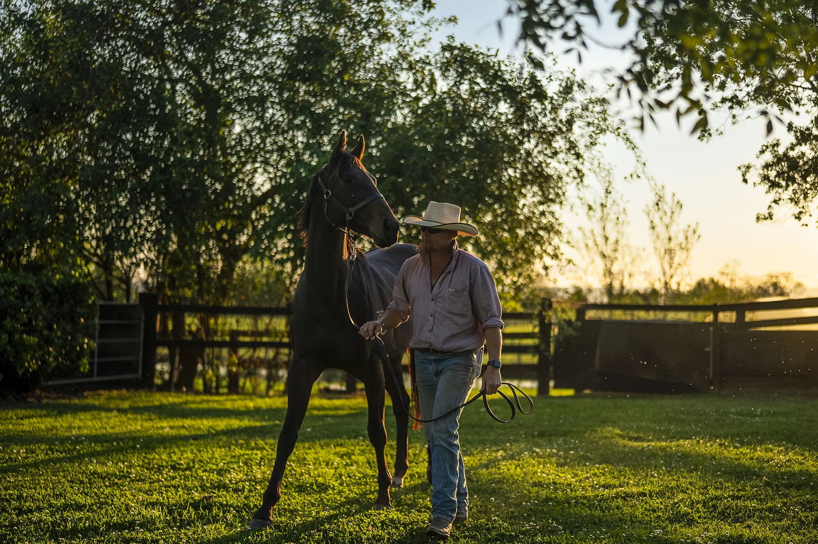 Additional image 5 of 134 Bathurst Street, Pitt Town NSW 2756