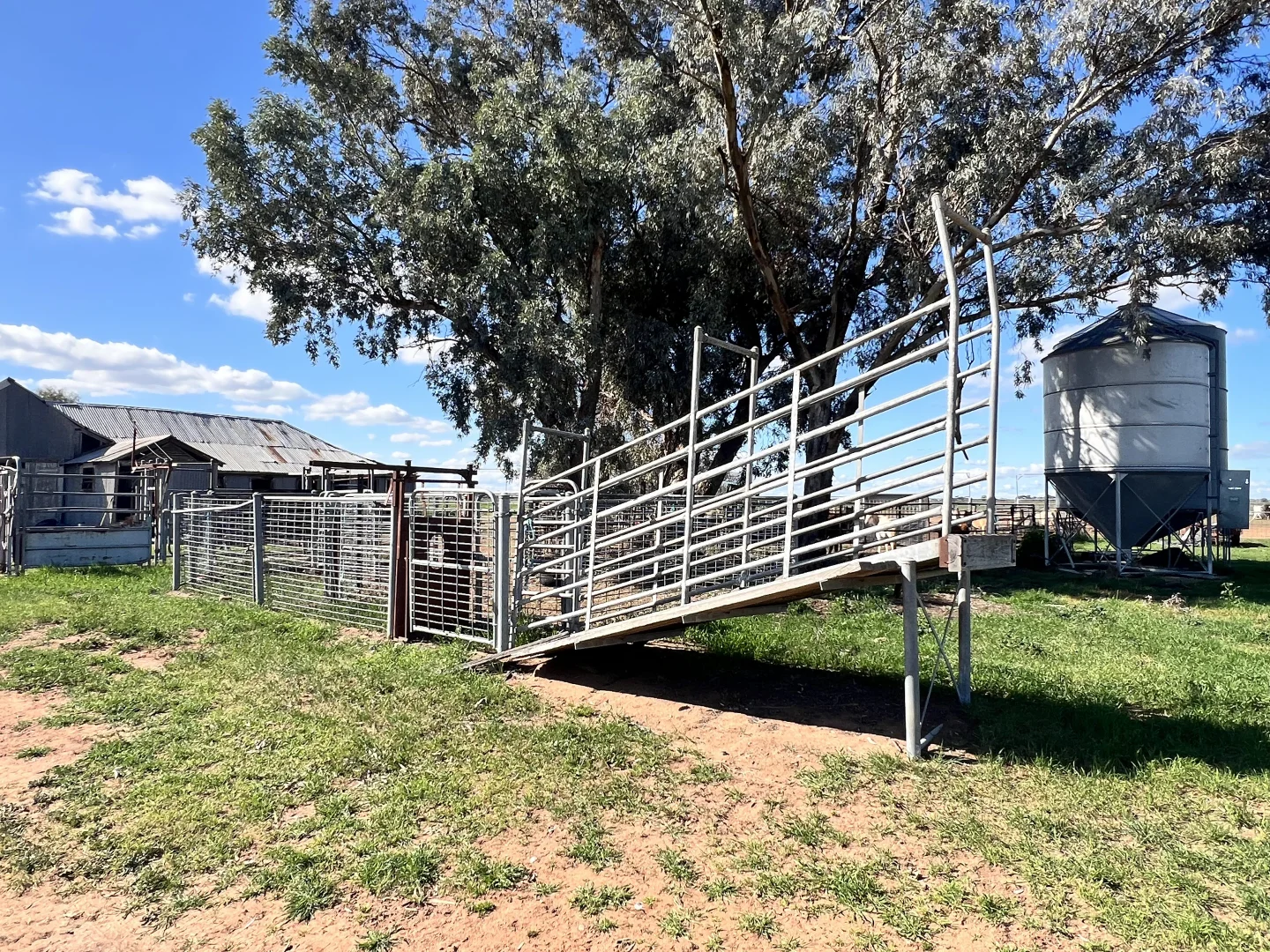 Additional image 30 of Farm 205/347 Fairlie Grange Road, Coleambally NSW 2707