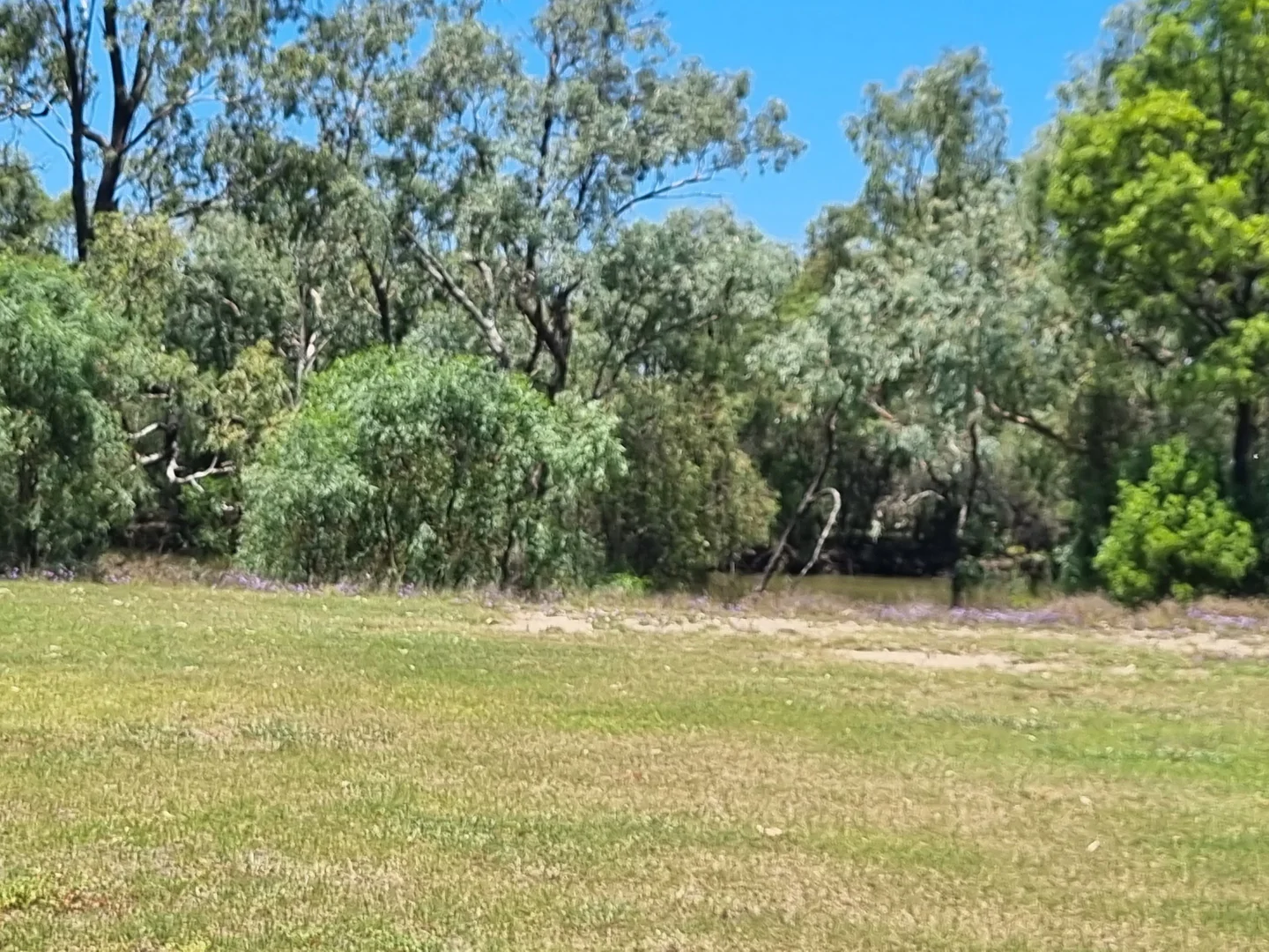 Additional image 10 of Water Park Estate, Goondiwindi QLD 4390