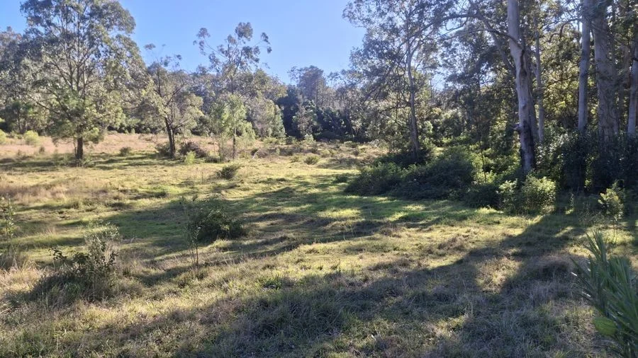 Additional image 3 of Lot 7 Donovan Road, Cabarlah QLD 4352
