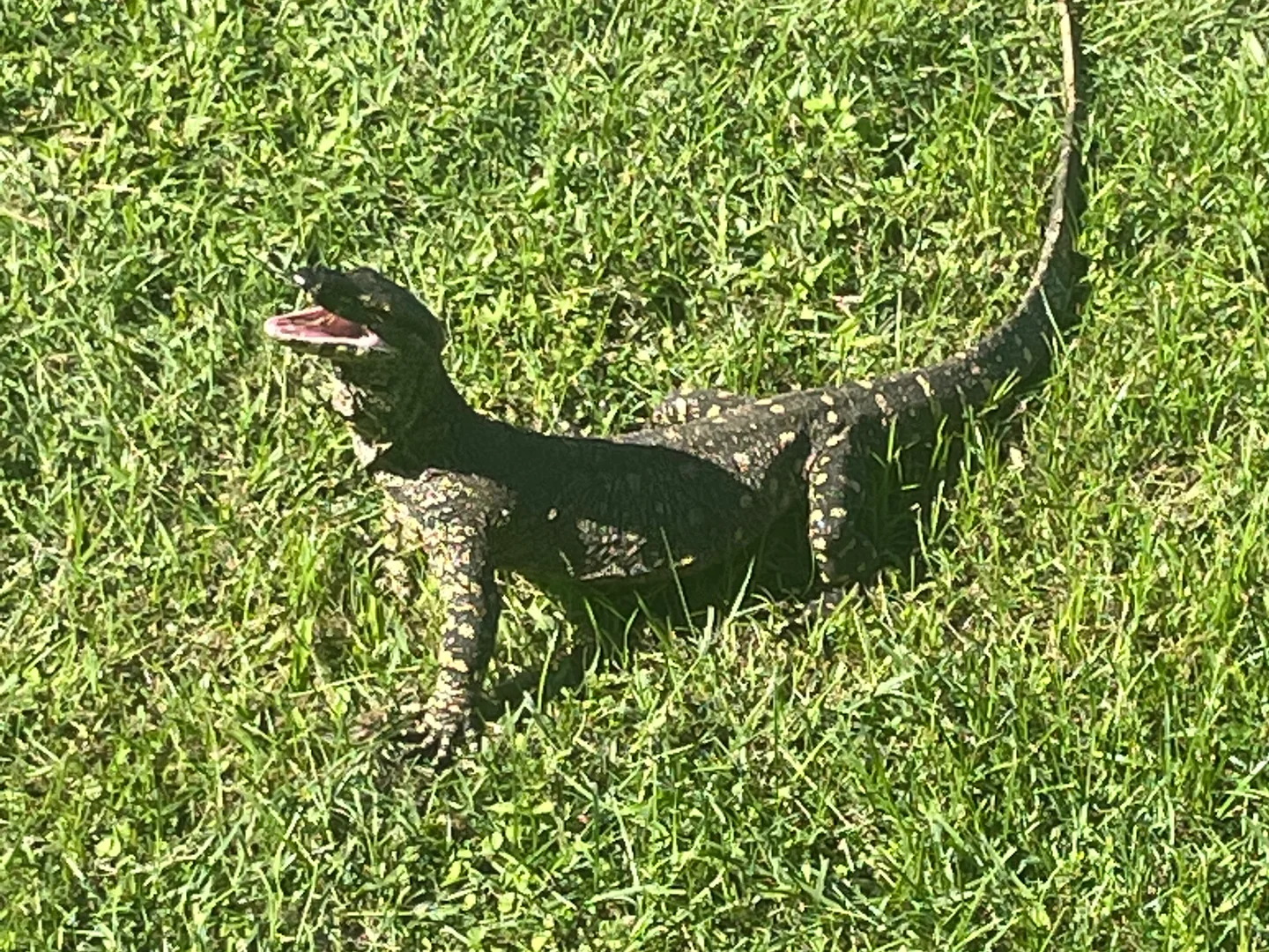 Additional image 21 of 109 Attards Road, Habana QLD 4740