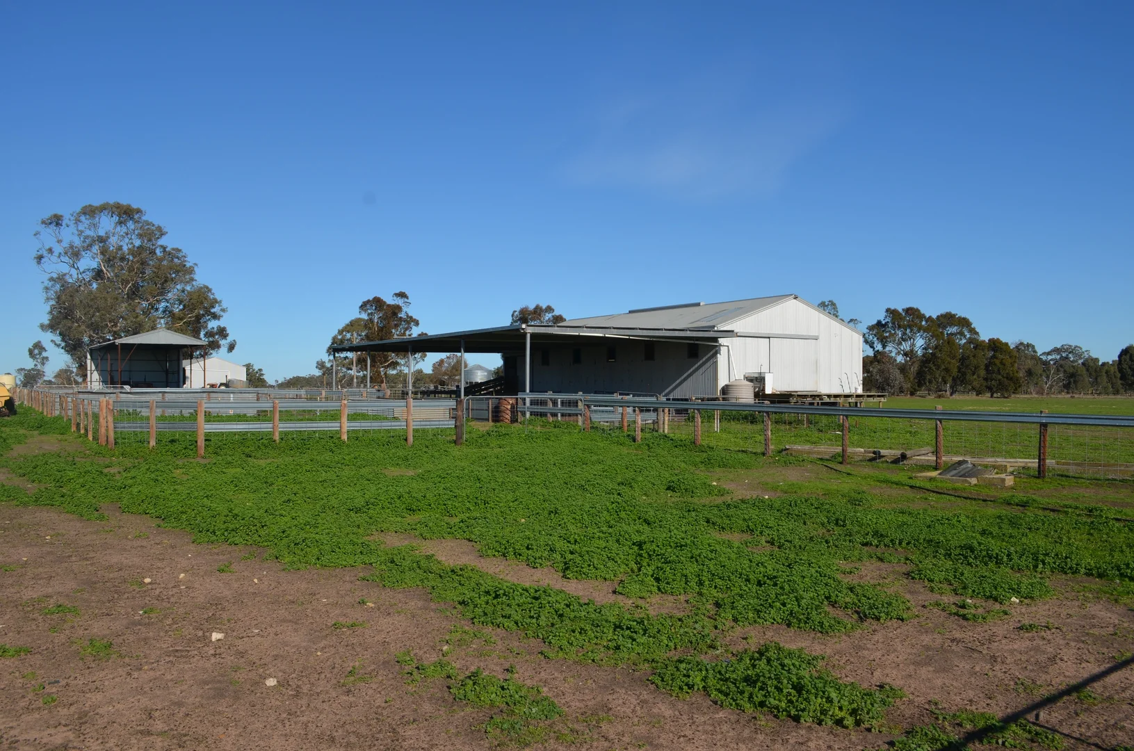 Additional image 4 of 260 Burns Munn Road, Edenhope VIC 3318