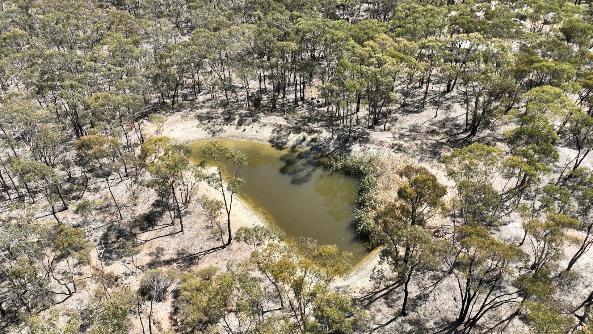 Additional image 4 of 124 Durstons Road, Maiden Gully VIC 3551