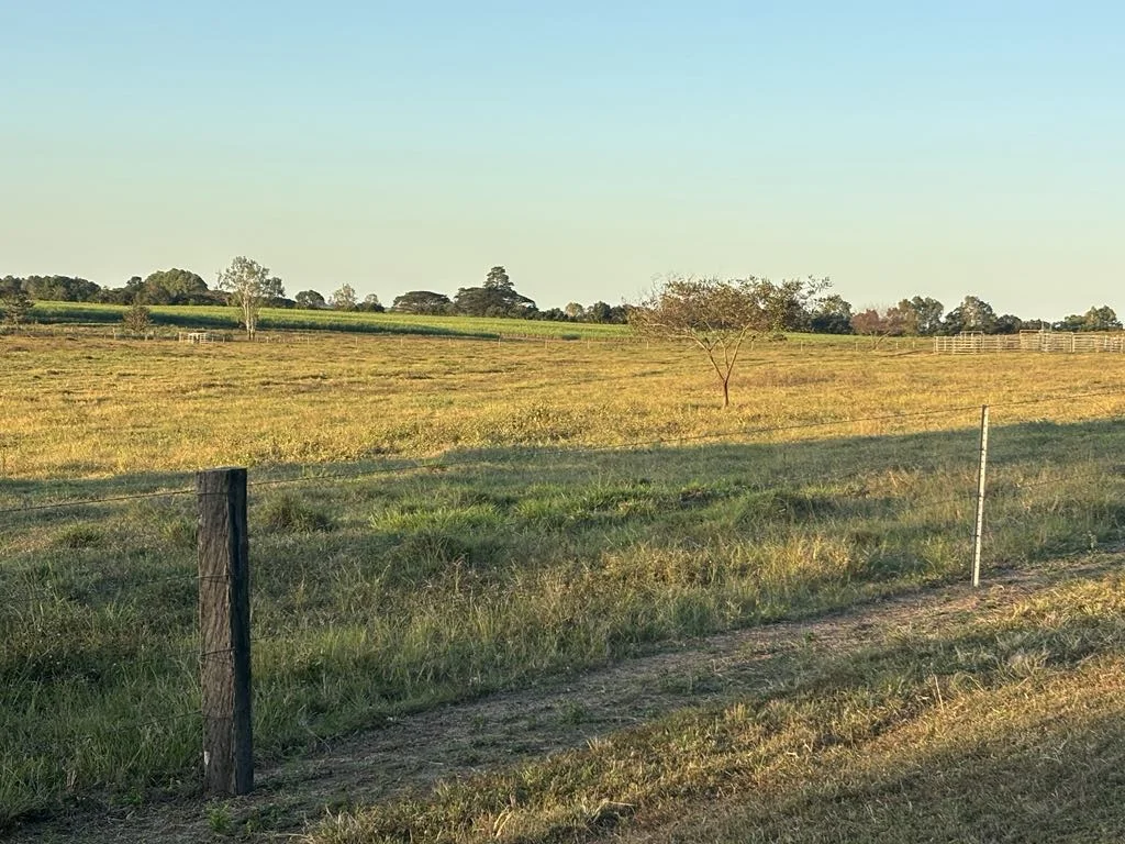 Additional image 6 of 25 Lions Lookout Road, Blackrock QLD 4850