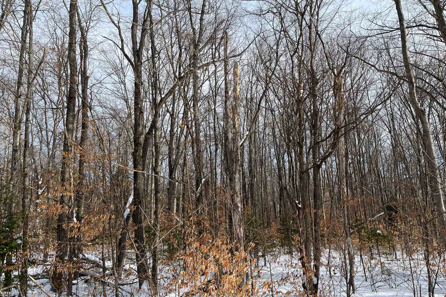 Additional image 3 of 00 Siberia Road