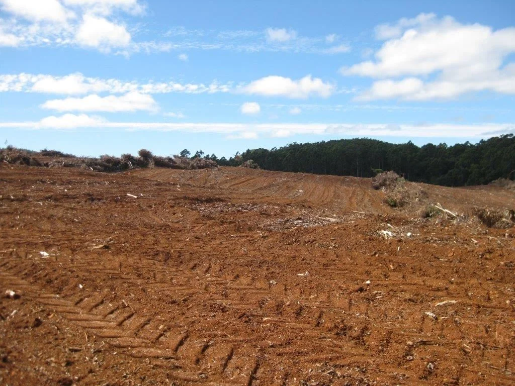 Additional image 16 of 1719 Mawbanna Road, Mawbanna TAS 7321