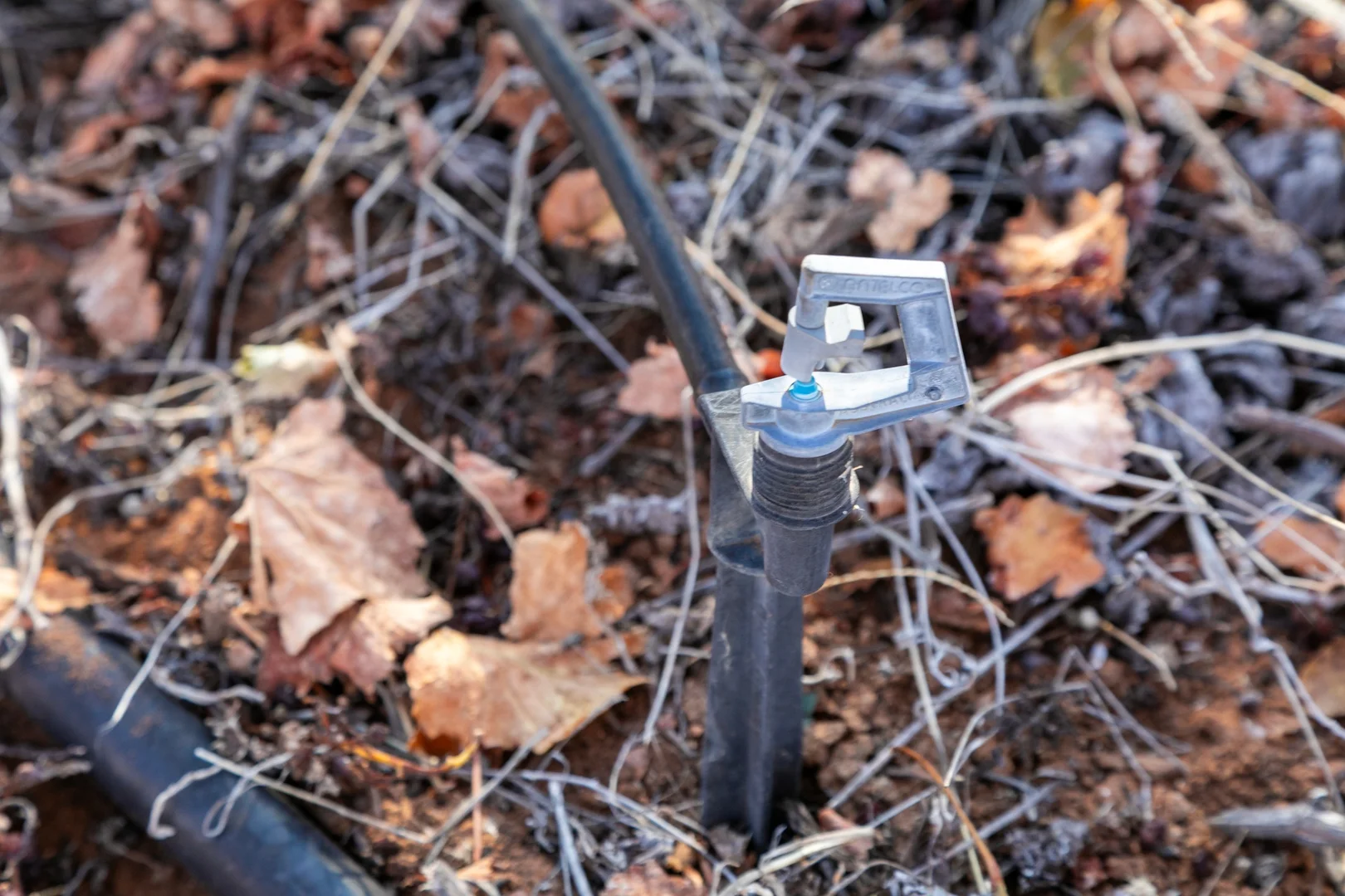 Additional image 16 of 277 Winkie Road, Winkie SA 5343