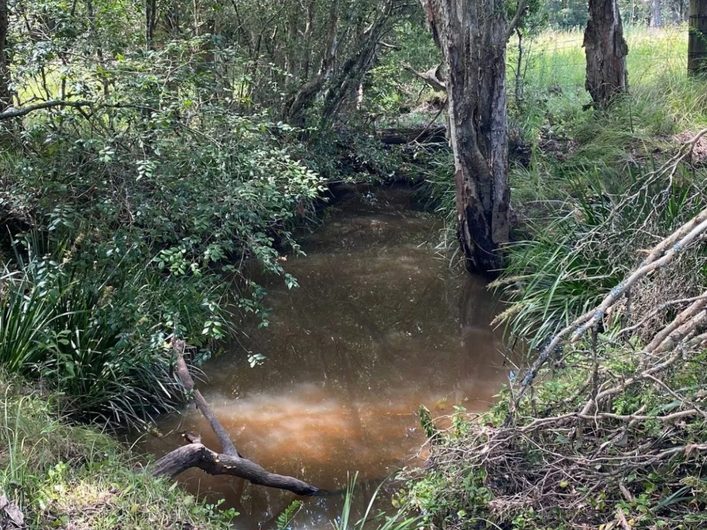 Additional image 7 of 2033 The Bucketts Way, Weismantels NSW 2415
