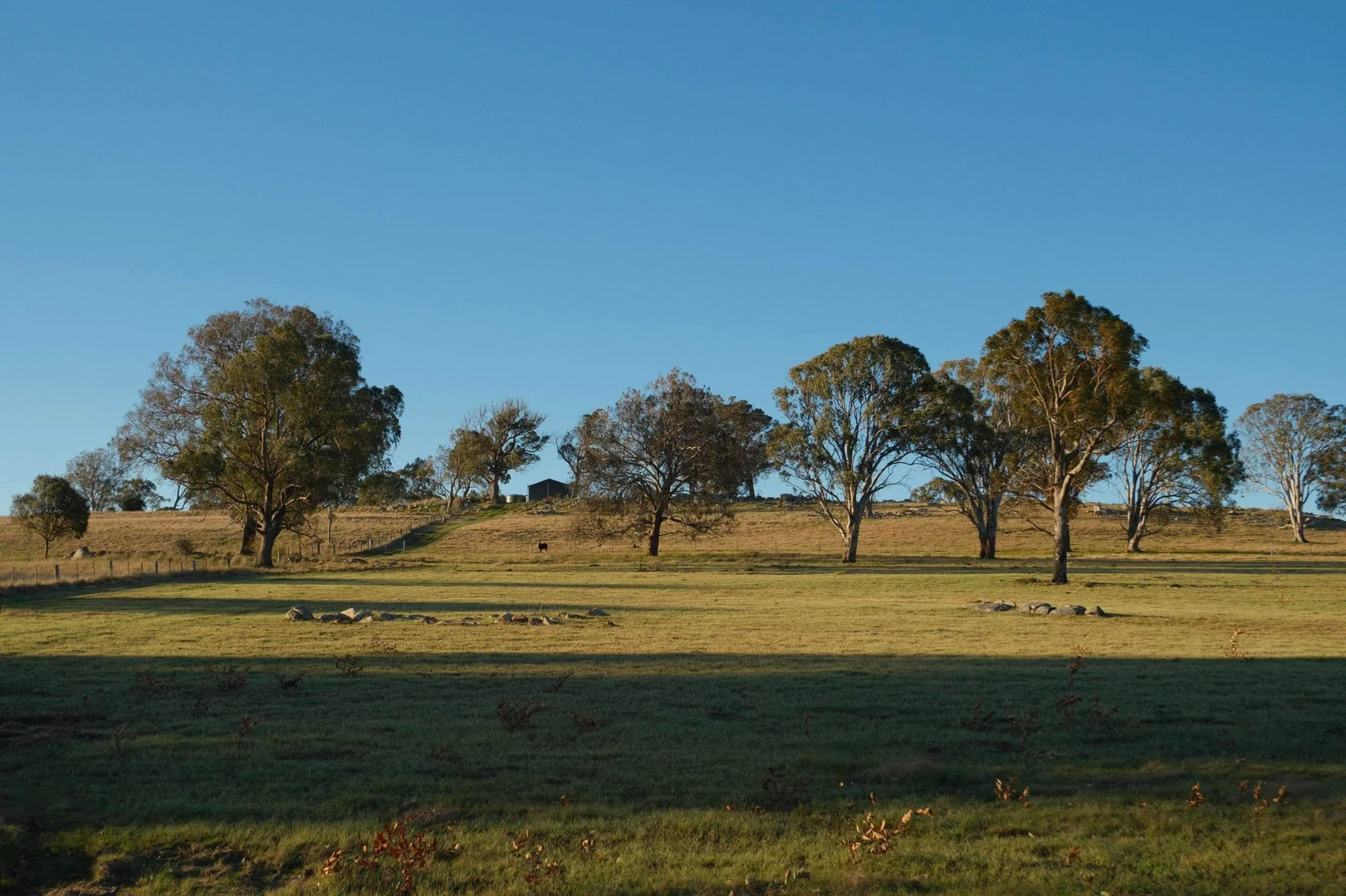 Additional image 6 of Tenterfield NSW 2372