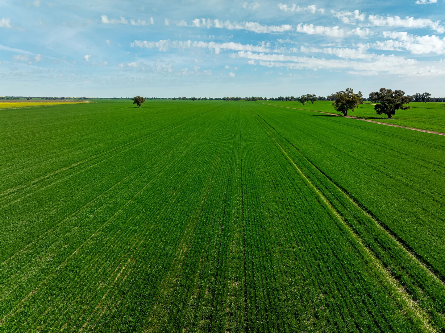 Additional image 17 of 90 Kilnyana Road, Savernake NSW 2646