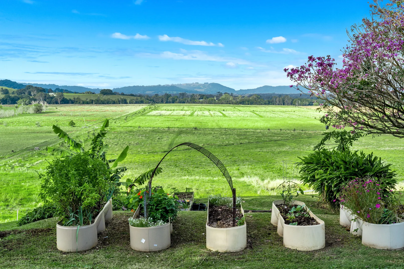 Additional image 36 of 1368 Wyrallah road, Tucki Tucki NSW 2480