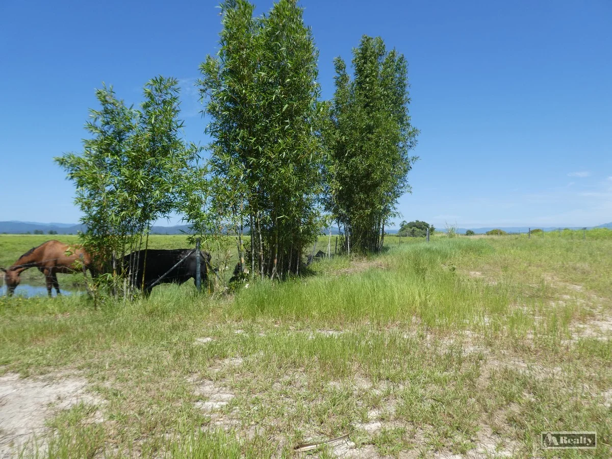 Additional image 10 of Lot 65 New Harbourline Road, New Harbourline QLD 4858