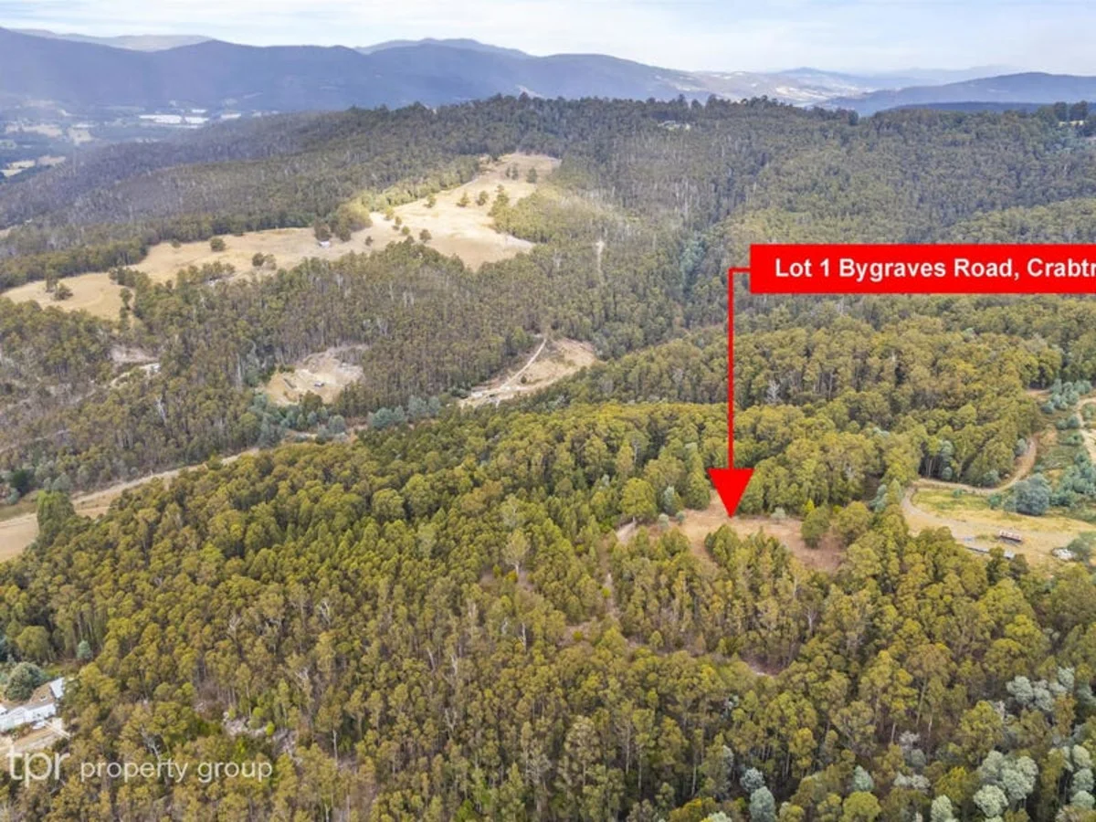 Additional image 17 of Lot 1 Bygraves Road, Crabtree TAS 7109