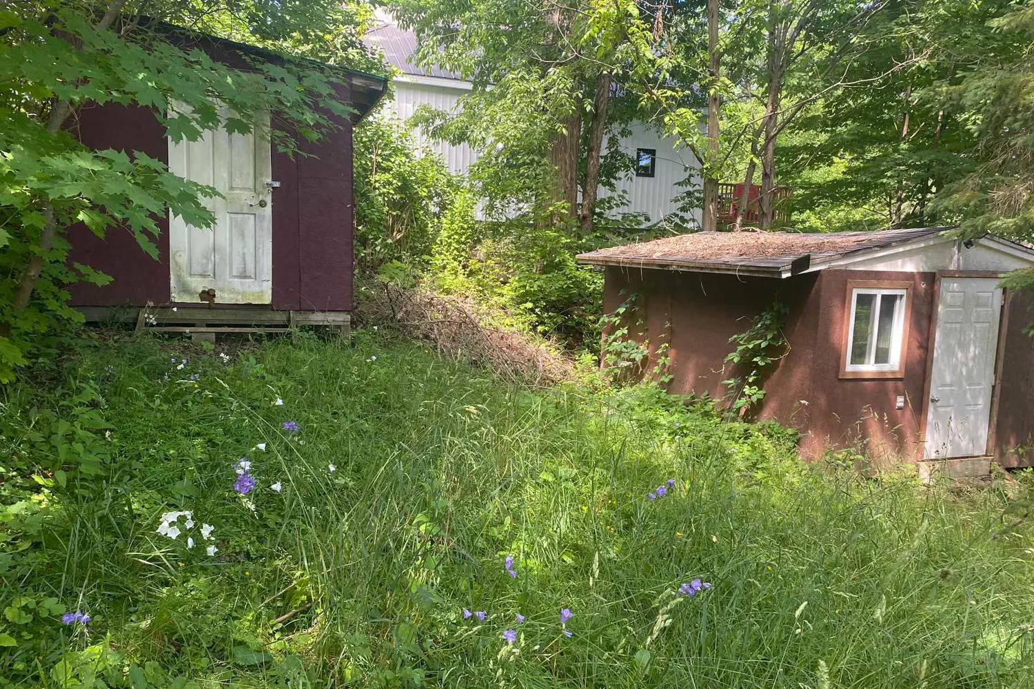 Additional image 10 of 16 Cora Street