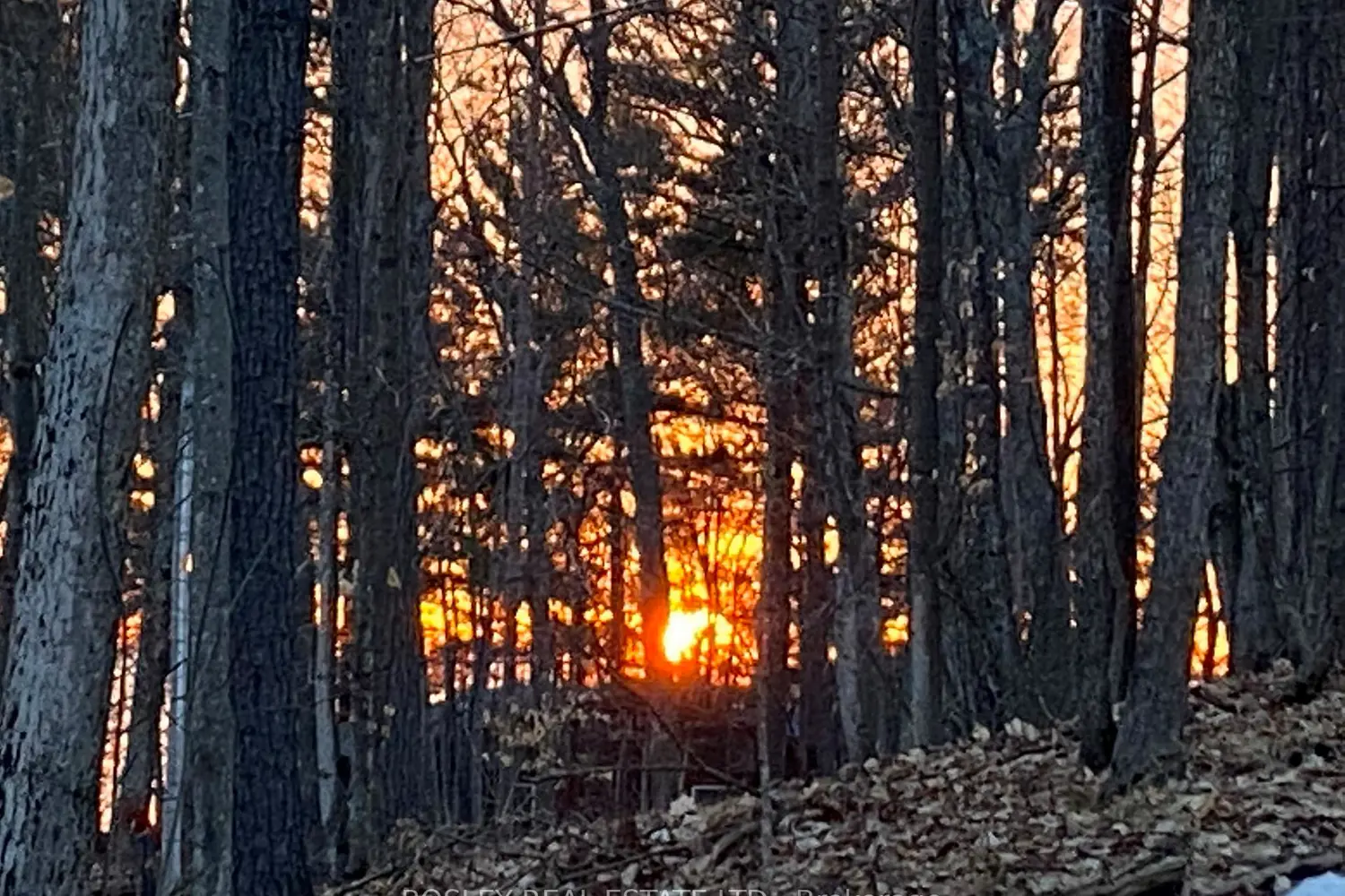 Additional image 18 of 1204 Tiny Beaches Road
