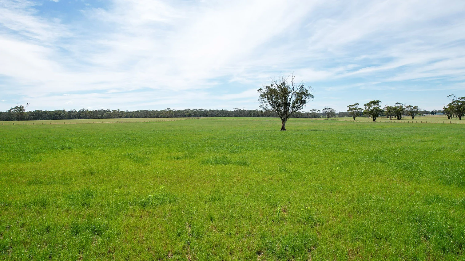 Additional image 8 of 211 Rollos Road, Panmure VIC 3265