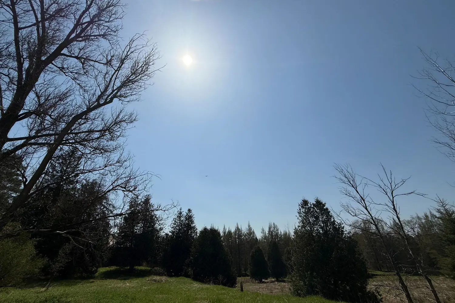 Additional image 6 of 20489 Hurontario Street